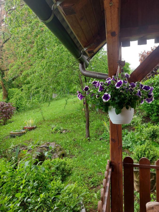 Kuca Za Odmor Anamarija Vila Ogulin Exterior foto