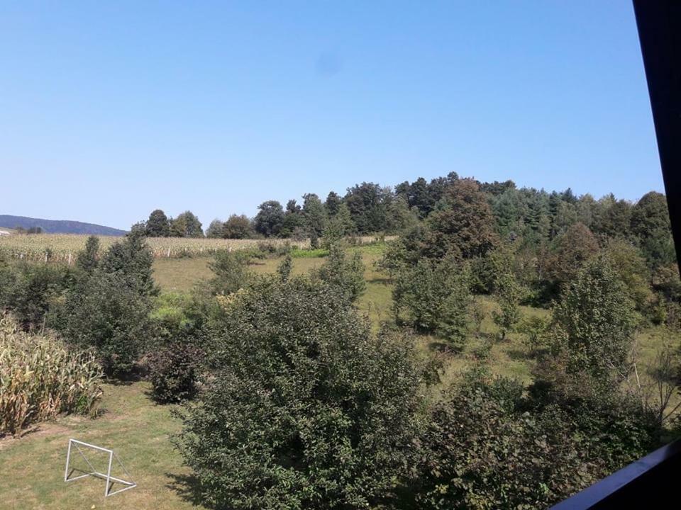 Kuca Za Odmor Anamarija Vila Ogulin Exterior foto