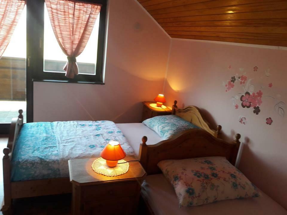 Kuca Za Odmor Anamarija Vila Ogulin Exterior foto